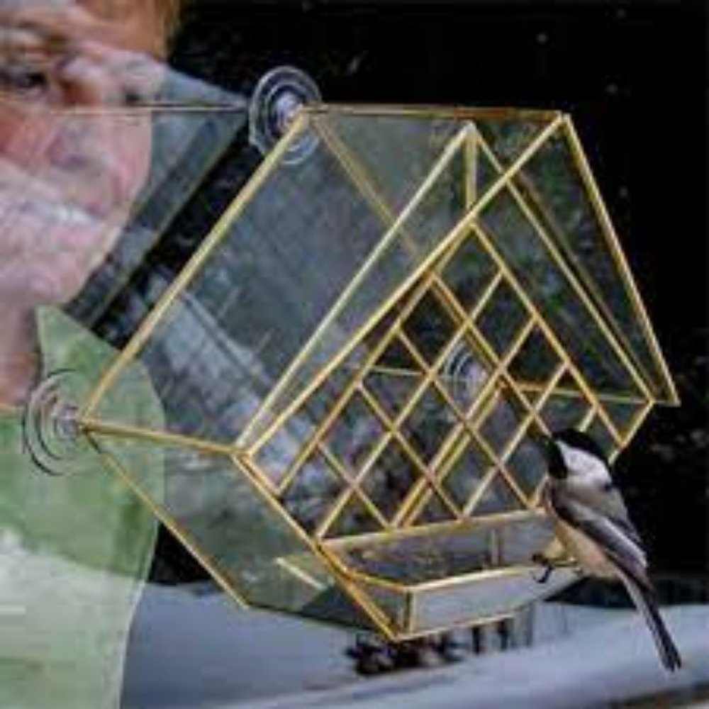 SALE!! ⚡️host pick⚡️Squirrel baffling suction birdfeeder.    2